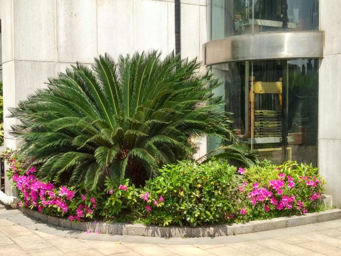 工廠建成花園，品質改變世界——園林綠化的力量與意義